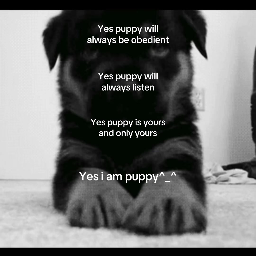 @puppy🐾