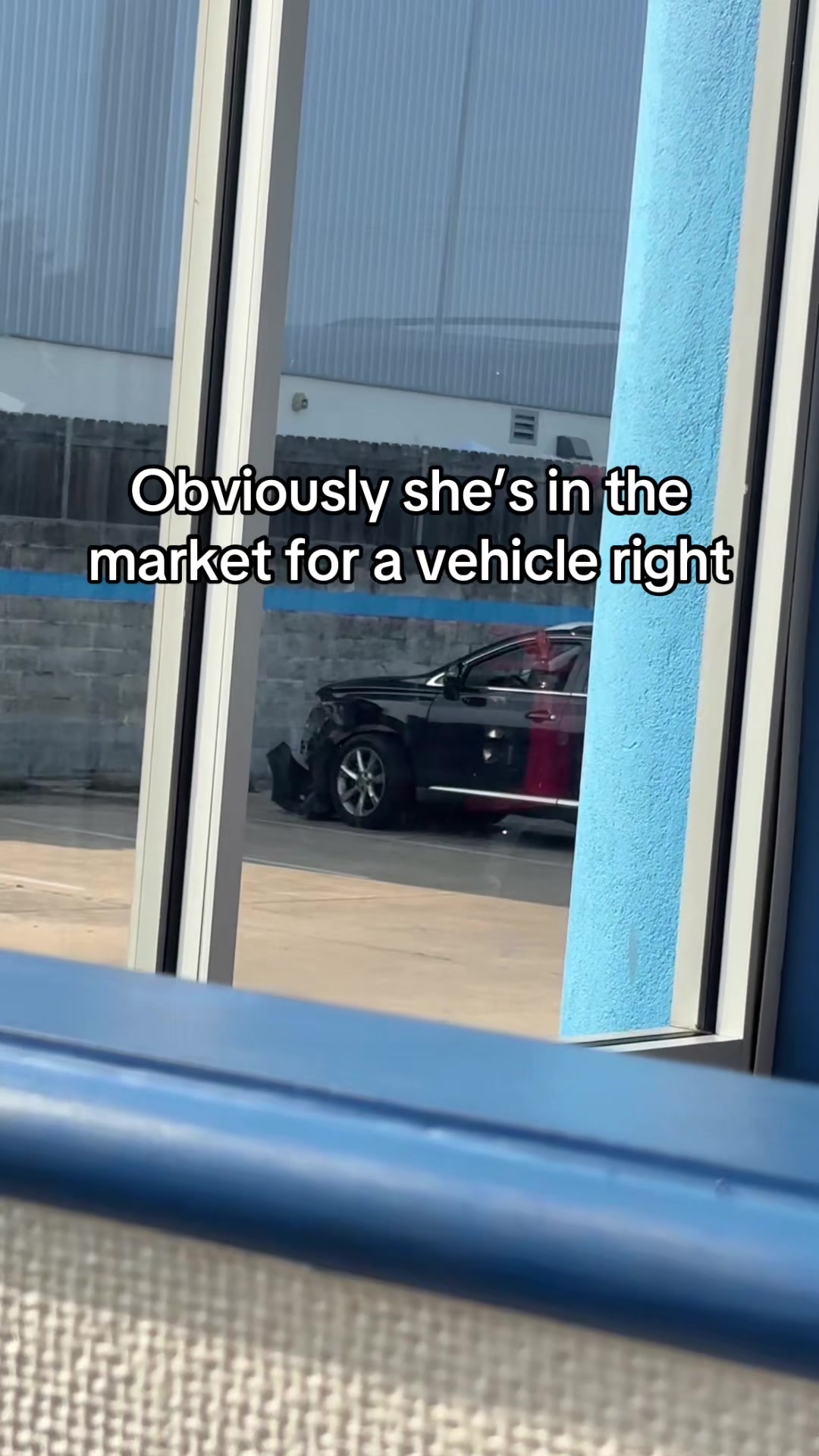 @Mckinleythecarplug
