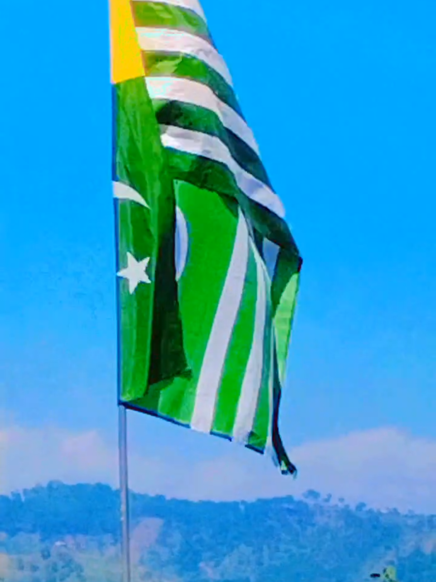@🍁 amjad Kashmiri 🍁