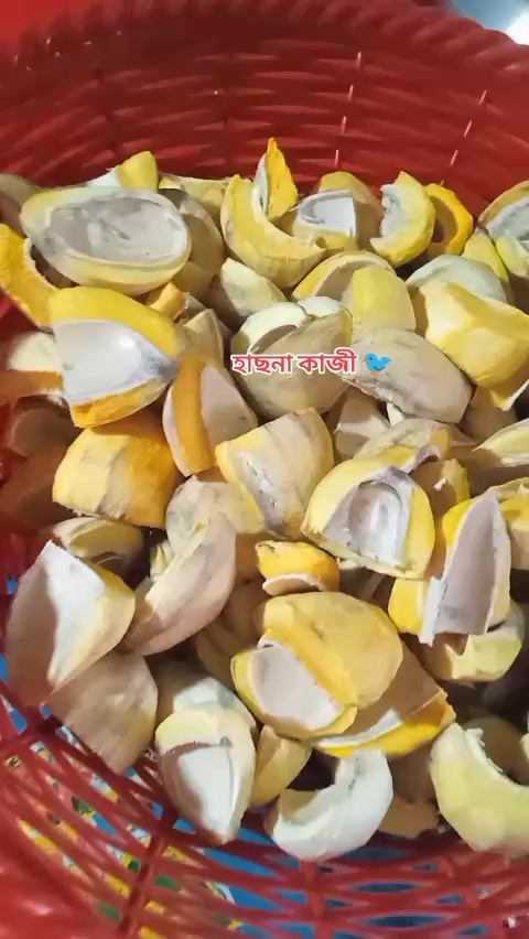 @হাছনা কাজী