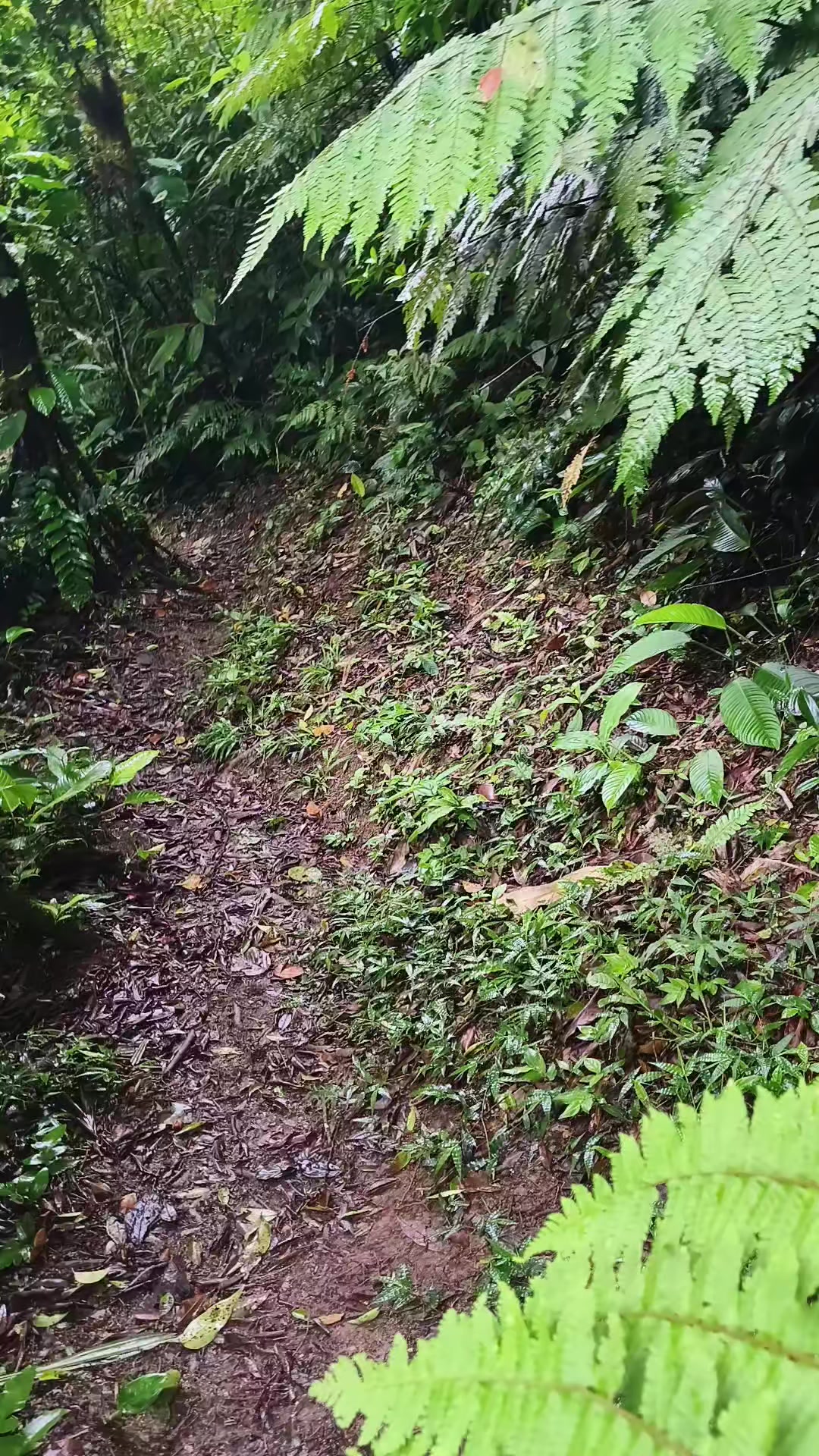 @Ameth Explora⛰️ 🌿📸