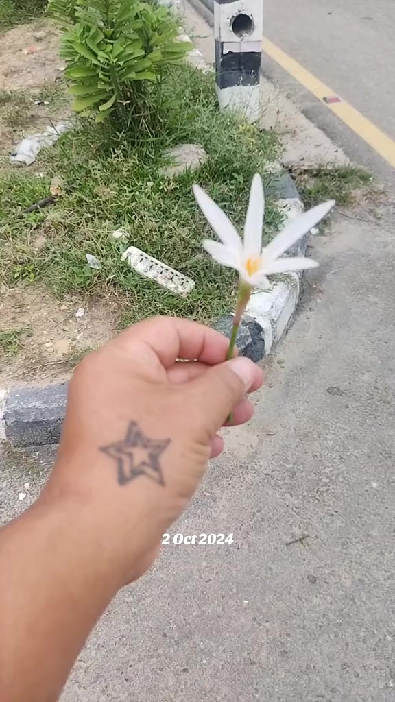 @Sanjit Lama