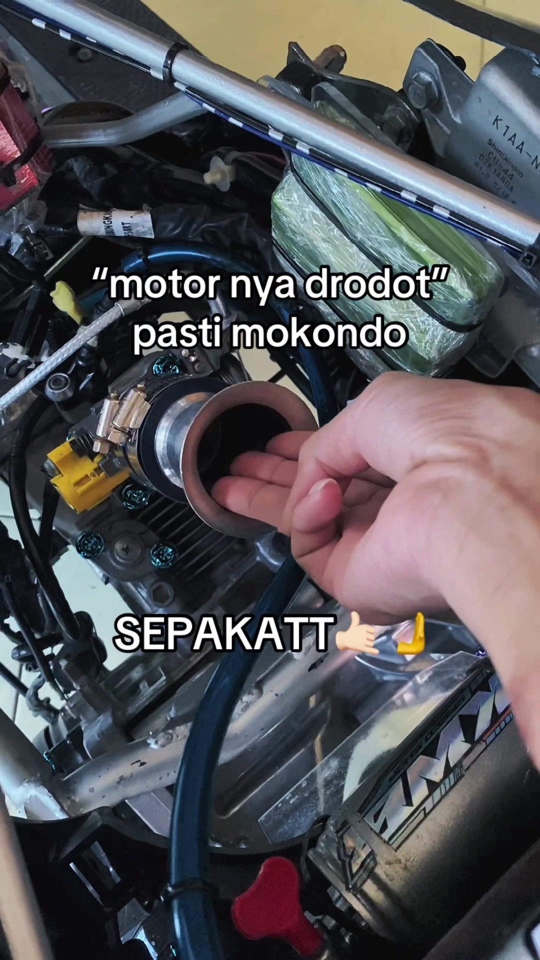 @Momon👾