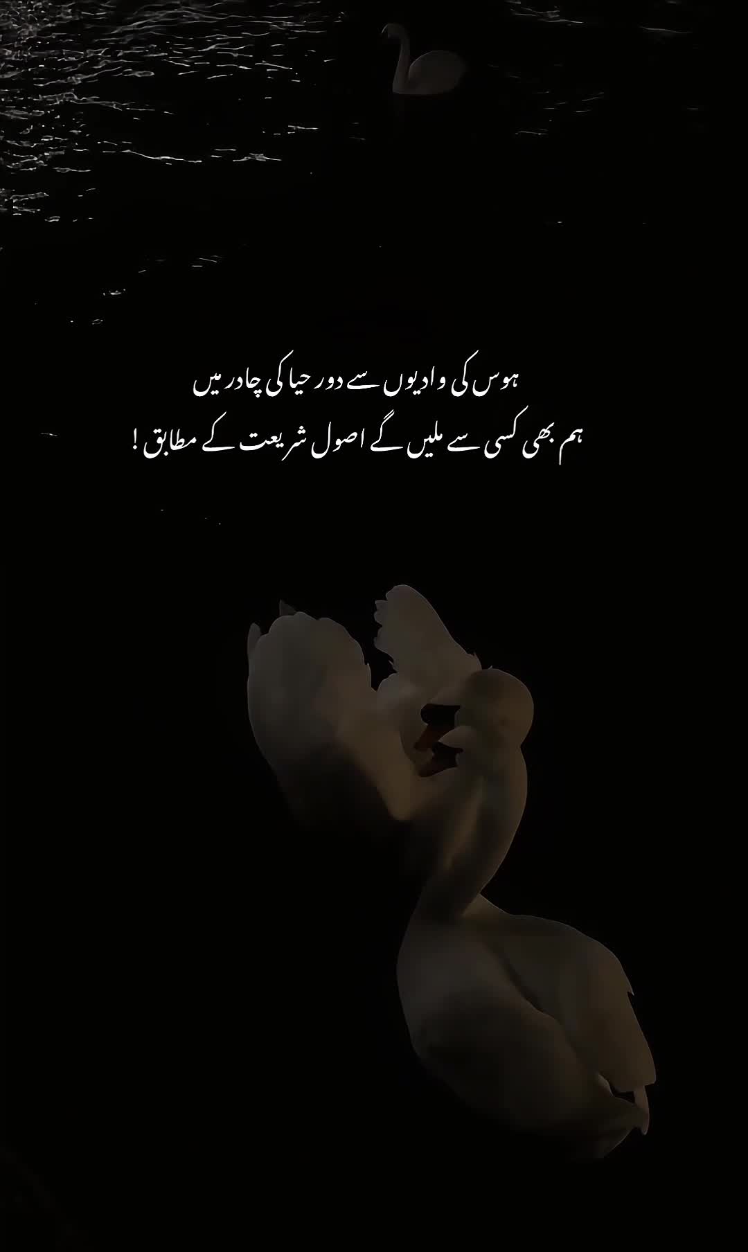 @ᥫ᭡𝐈𝐒𝐇𝐔⏤͟͟͞͞🦢🌷