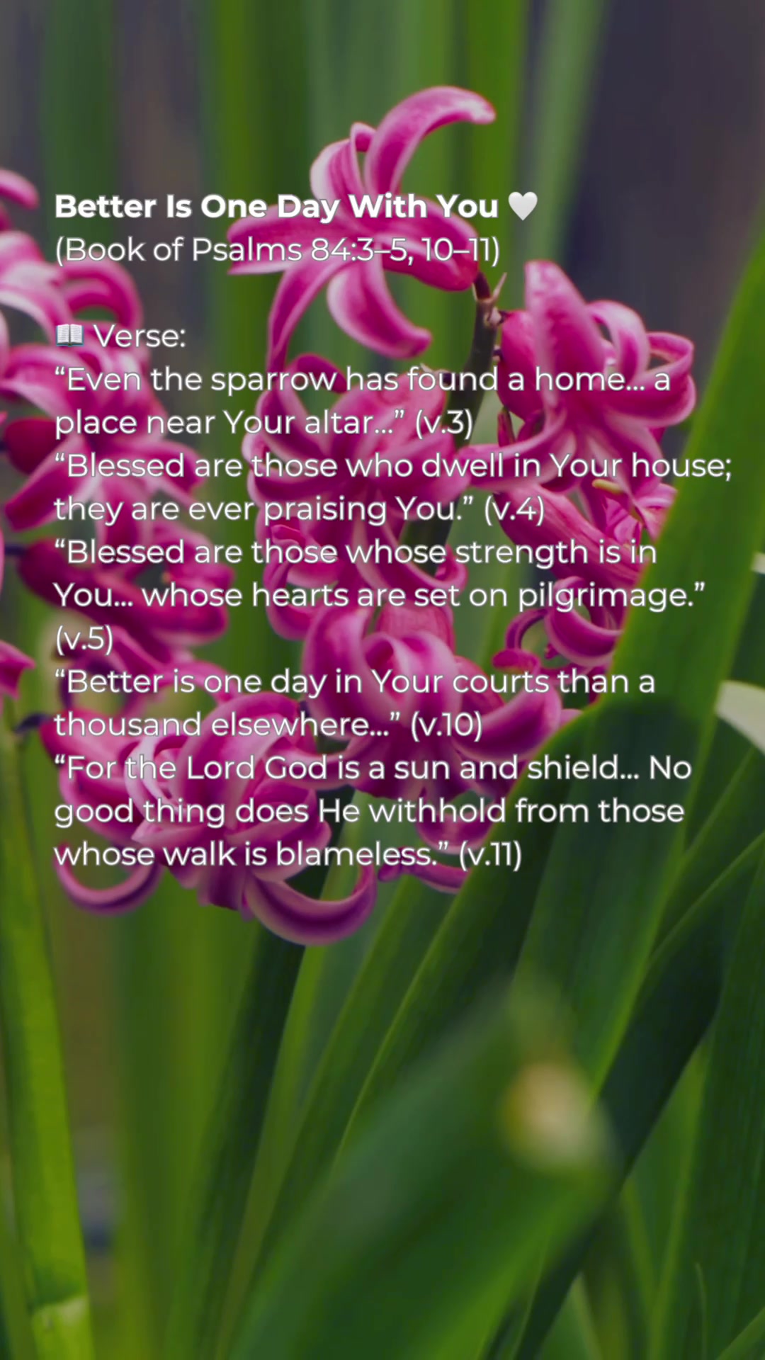 @daily.faith.reflection