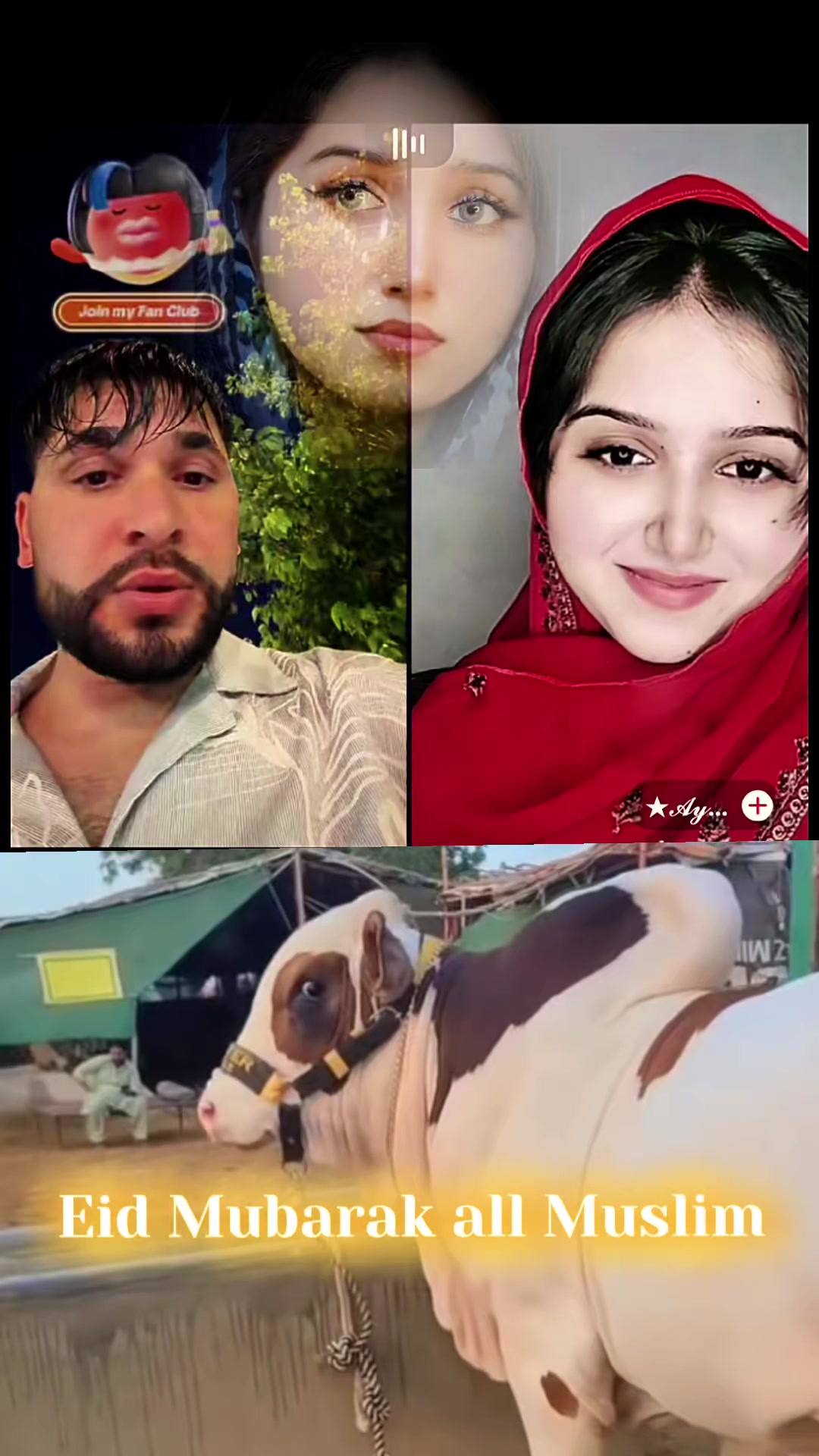 @(Wali+Editor)