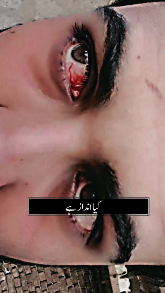 @hameedarmani