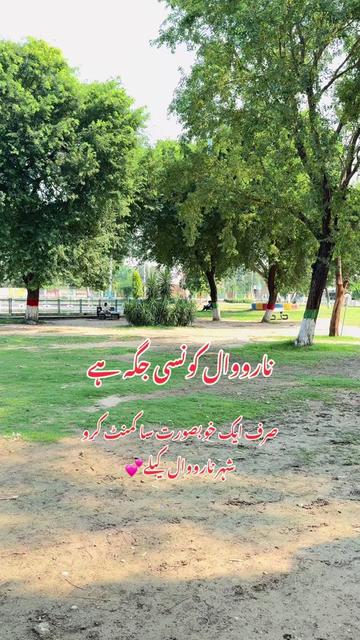 @bigboss02025