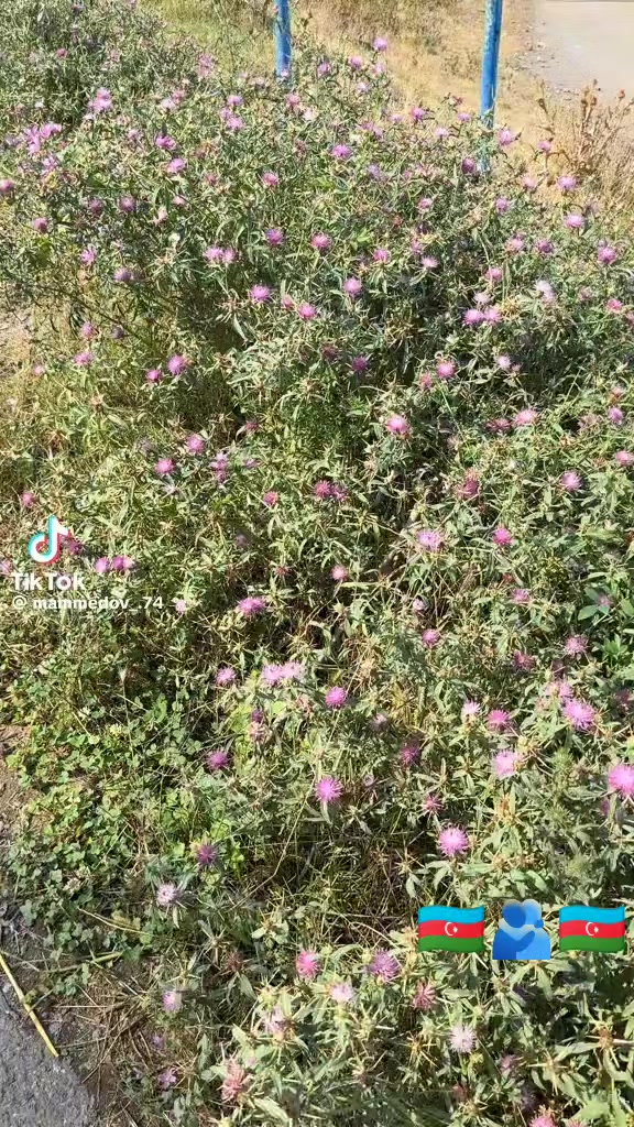 @🇦🇿_Qeys_059