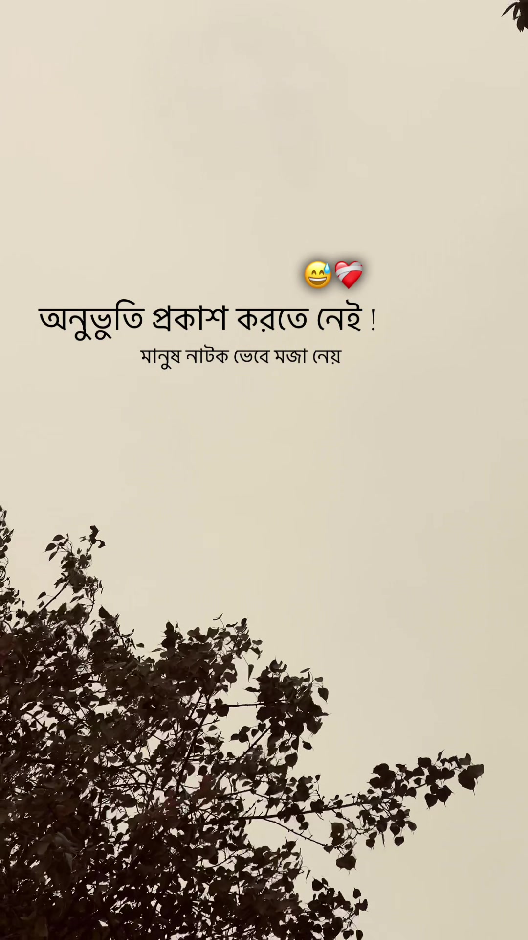 @-ABIR'📓🖋️