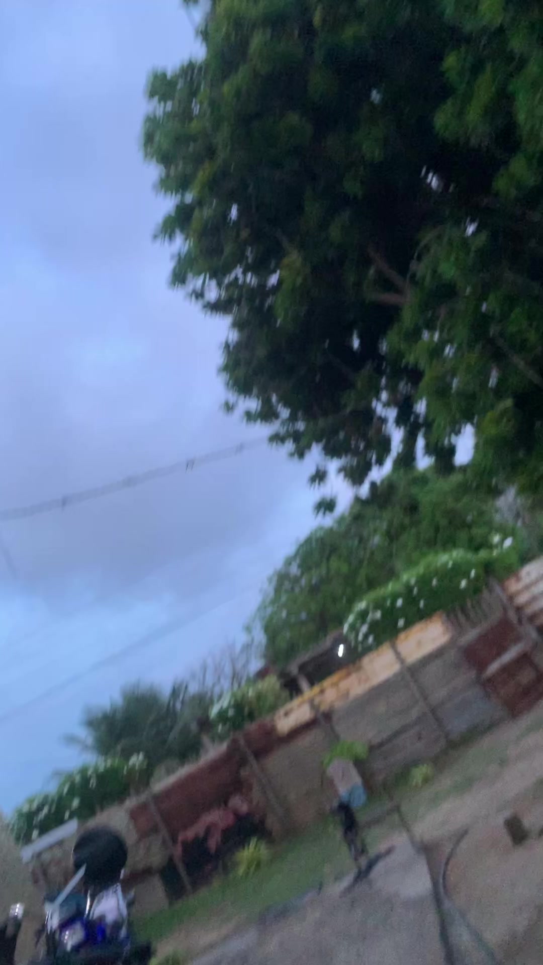 @ටᴘ┋reyes !