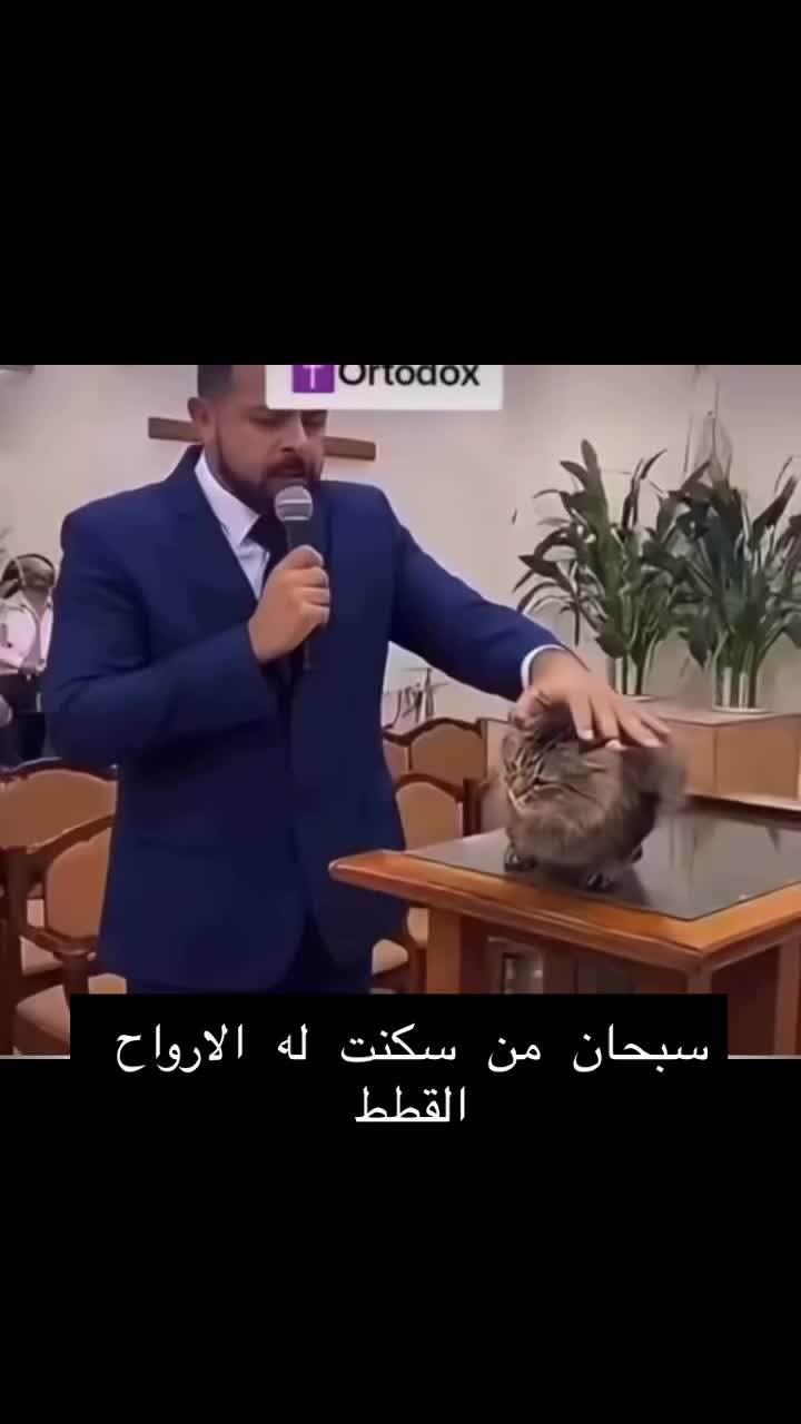 @mohammed mosleH