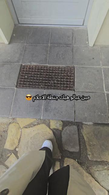 @Lelav2233