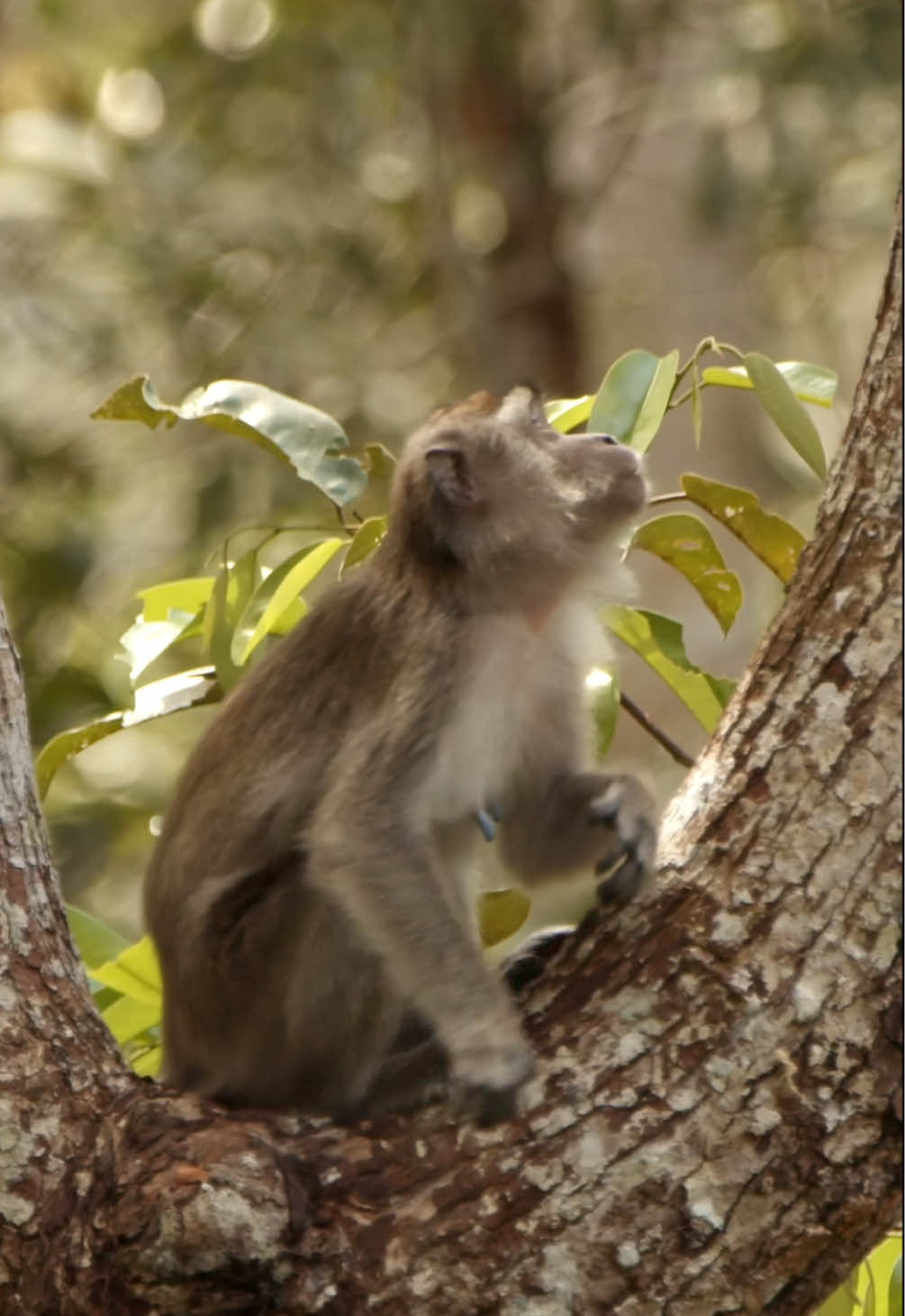 @Kai Meyer | Wildlife Filmmaker