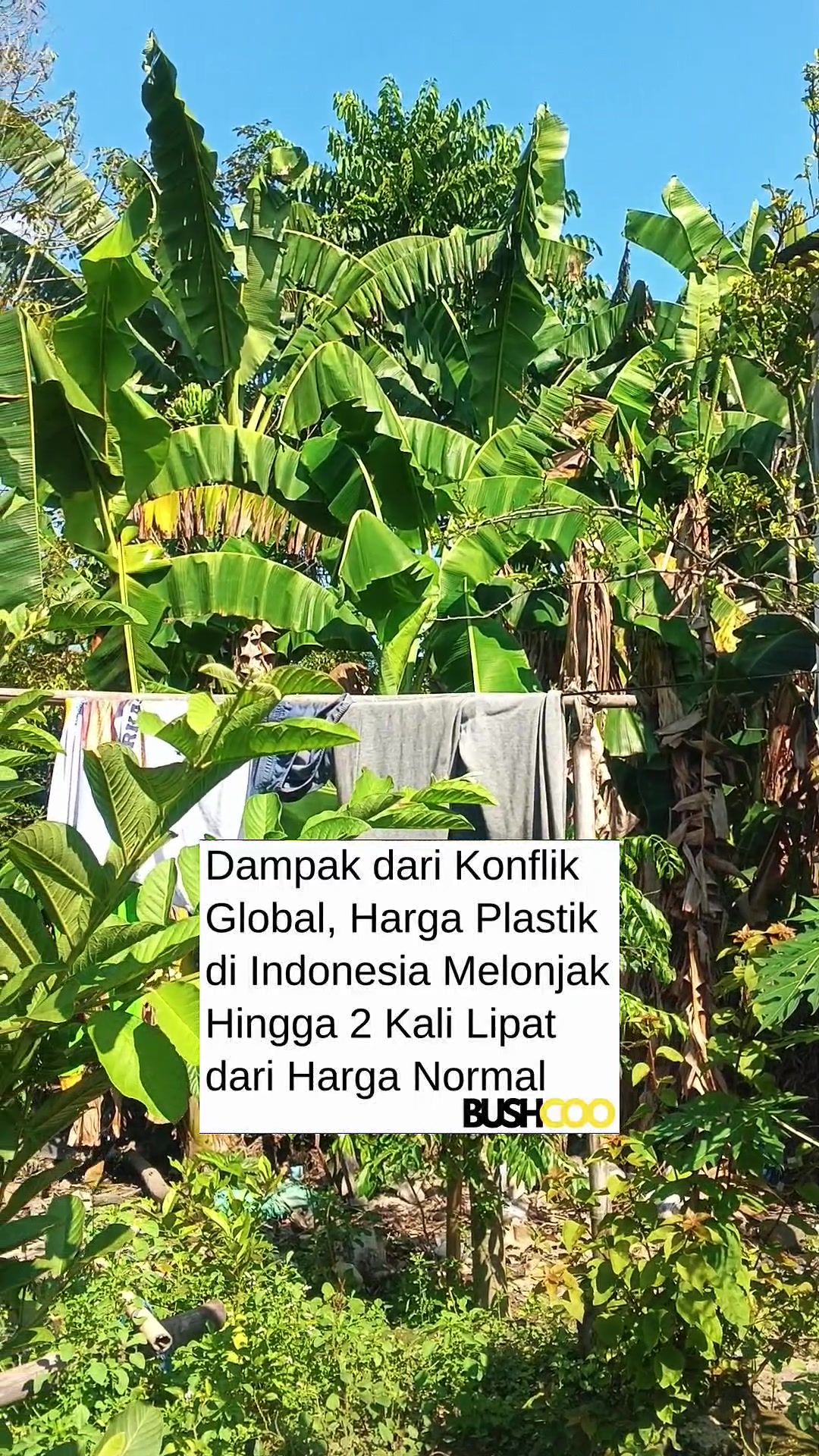 @Bang Enol Penkor Balap