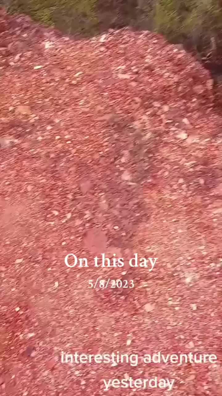 @ꪑꪖꪻꪻꪗᦲᦲᒣꪑ🏴☠️🥃🍃🎸