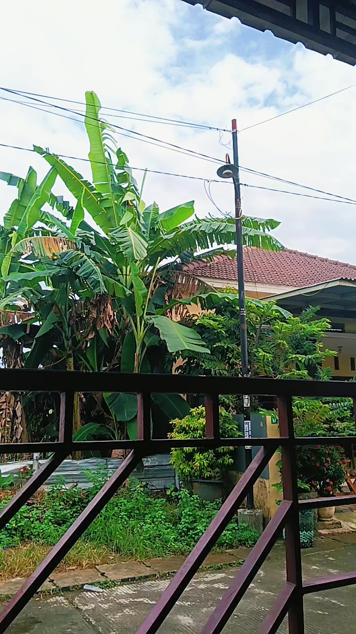 @kembar vio