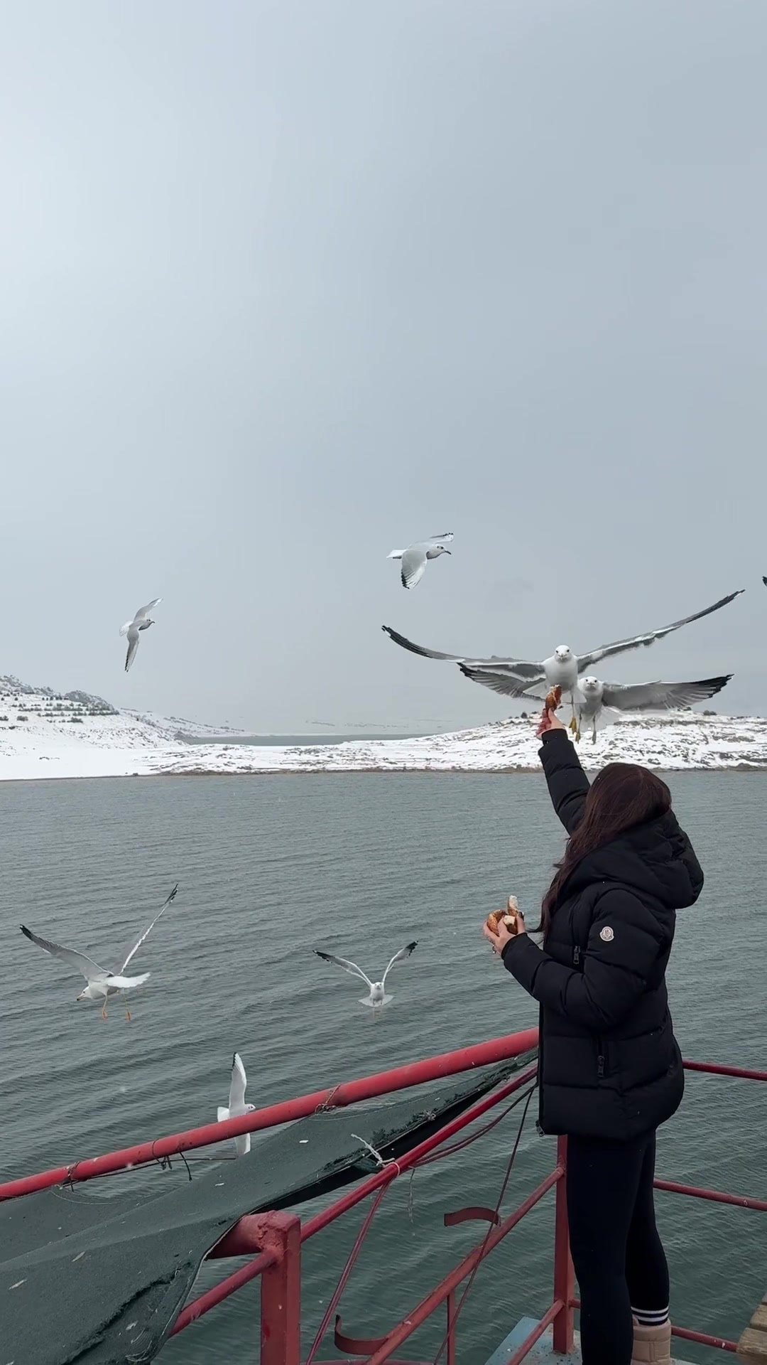 @Wela.dersim