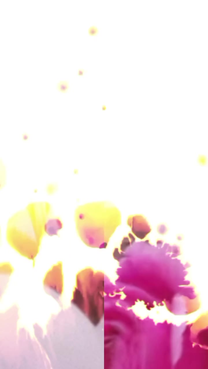 @๐_S_โค๏ธ