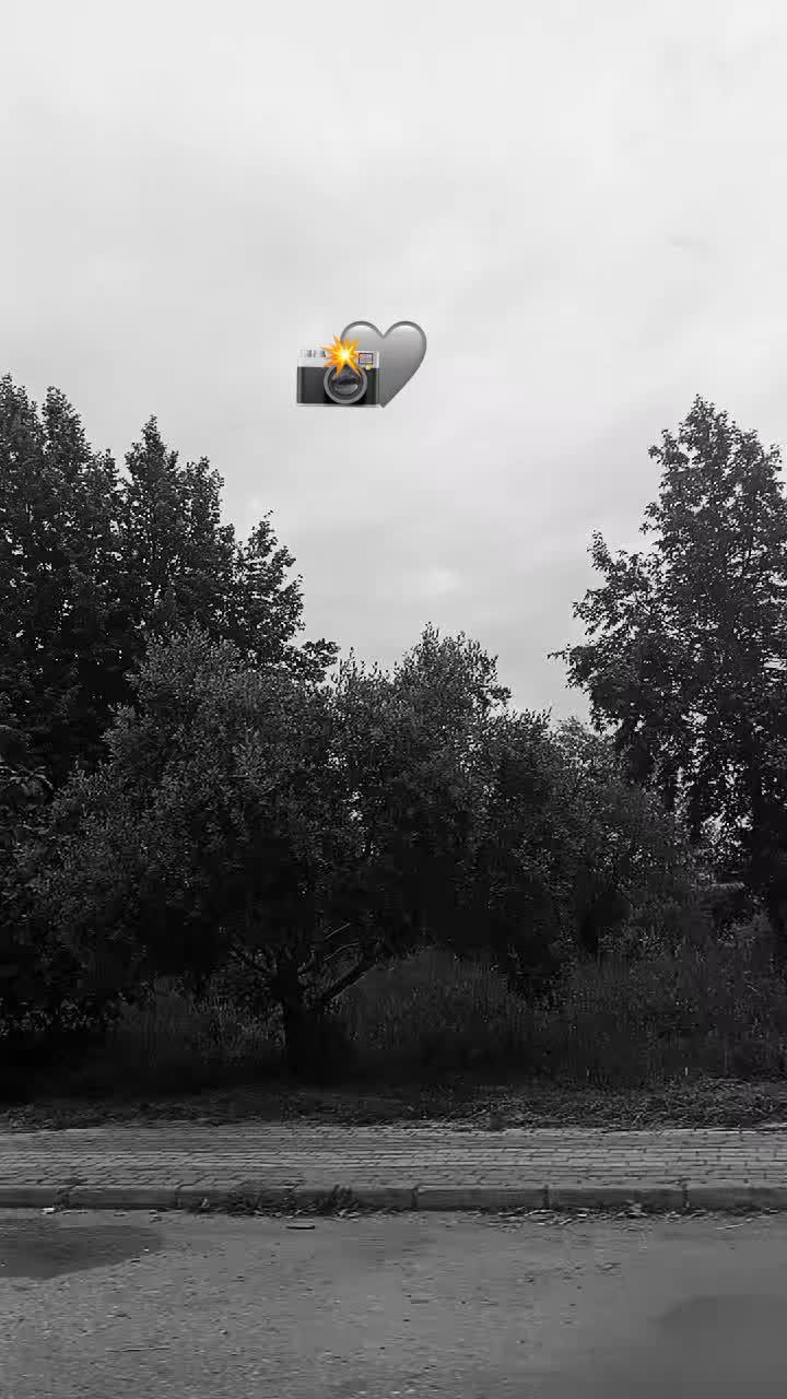 @𝓜inhoreiskolesii𖣂