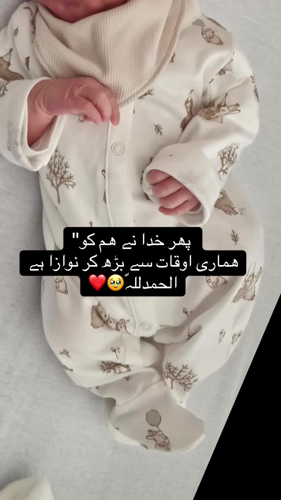 @Saba