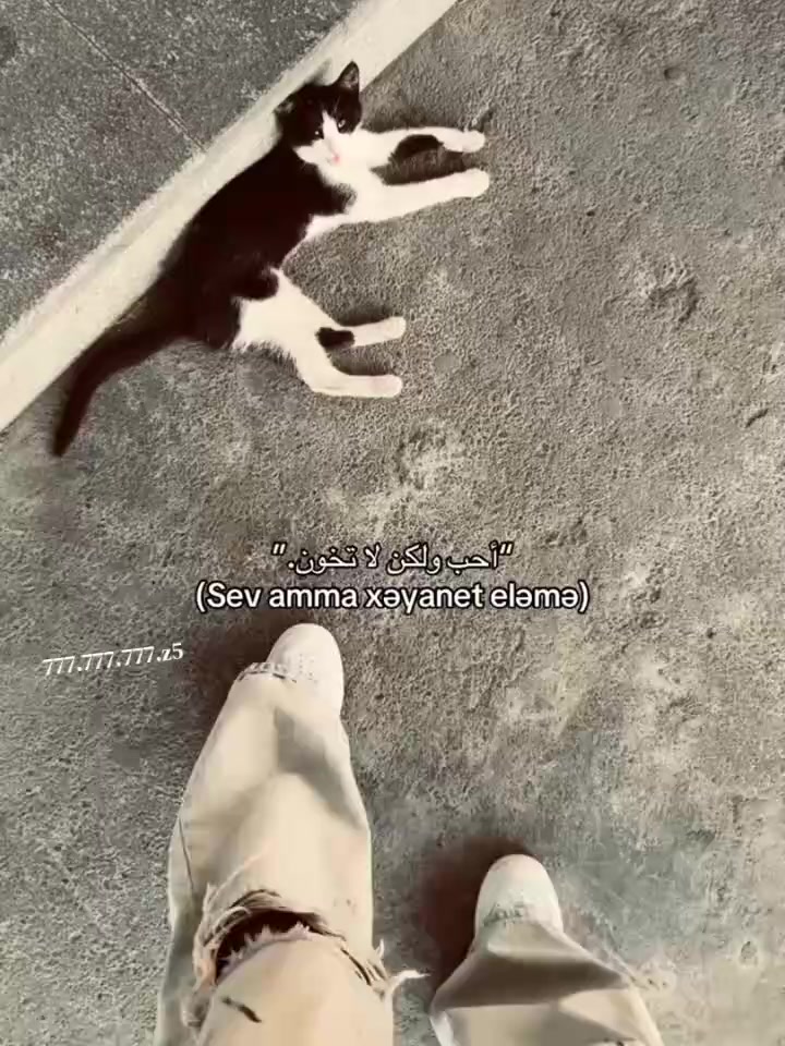 @๐๐ฌ๐๐ต๐ฌ๐ฉโต