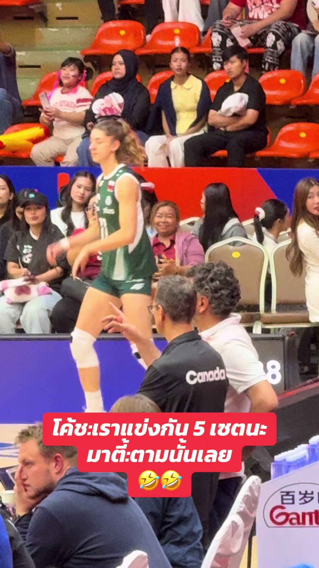 @ดาวลูกไก่12