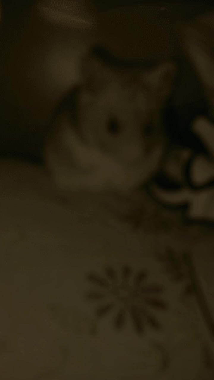 @<|LAKIYA đ§