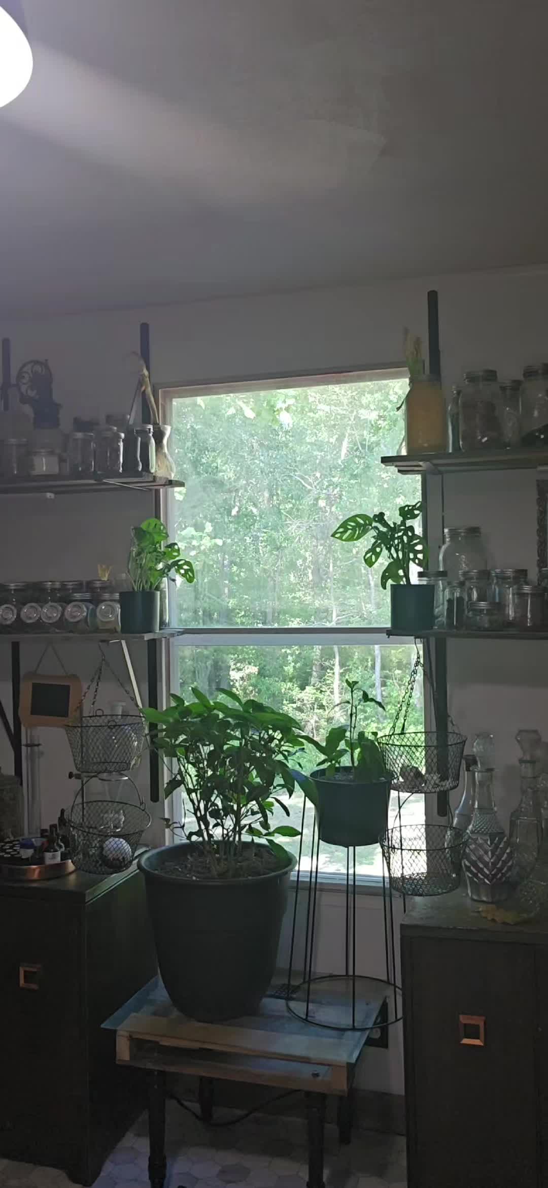 @Leaf&BeanFarm