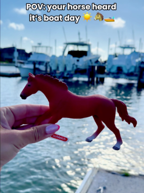 @Schleich Horse Club