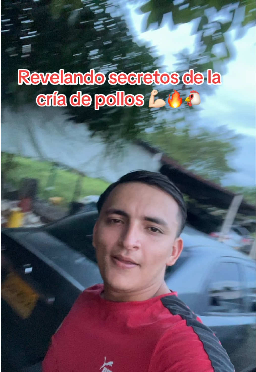 @elmagnatedelospollos
