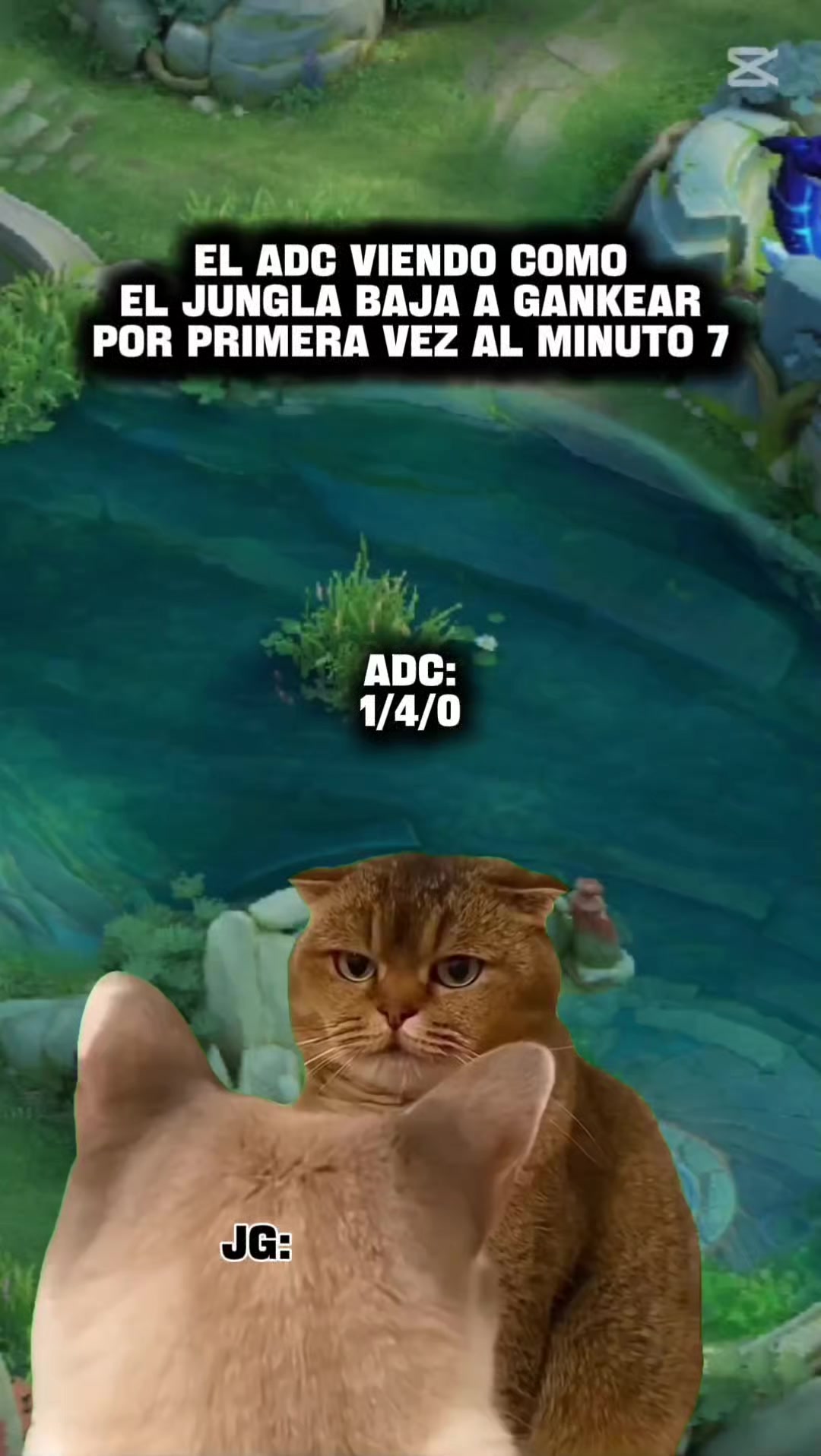 @Trance Vrt