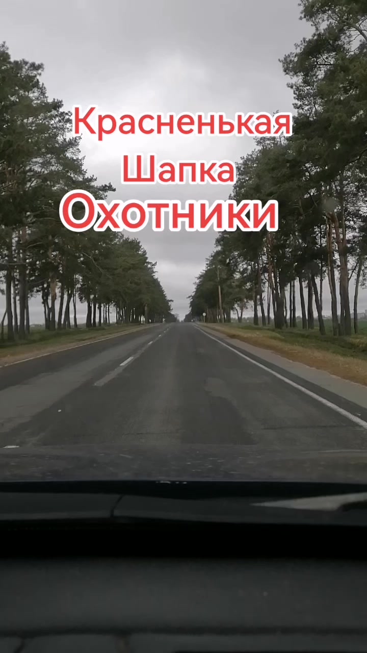 @seregabos