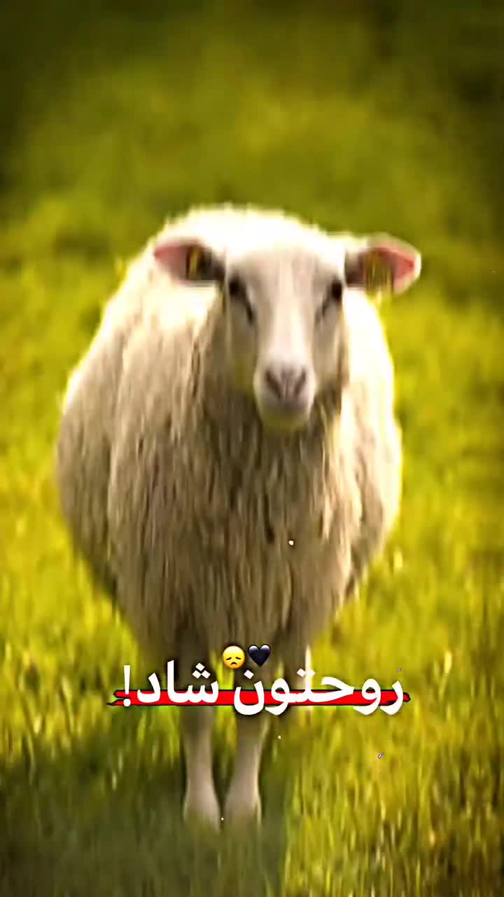 @🎬بلاگر چابهاری🎬