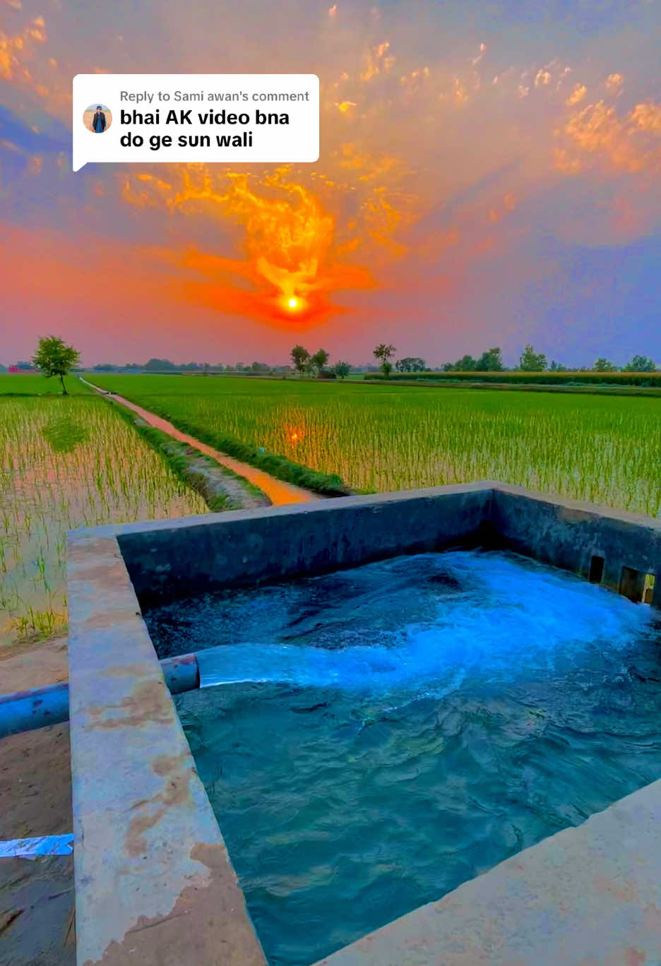 @🌱اویس میئو😎