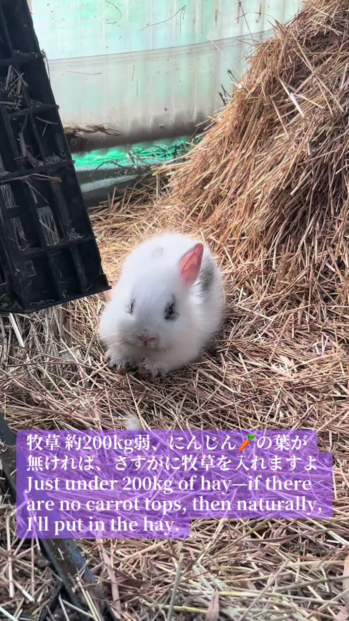 @billion_farm