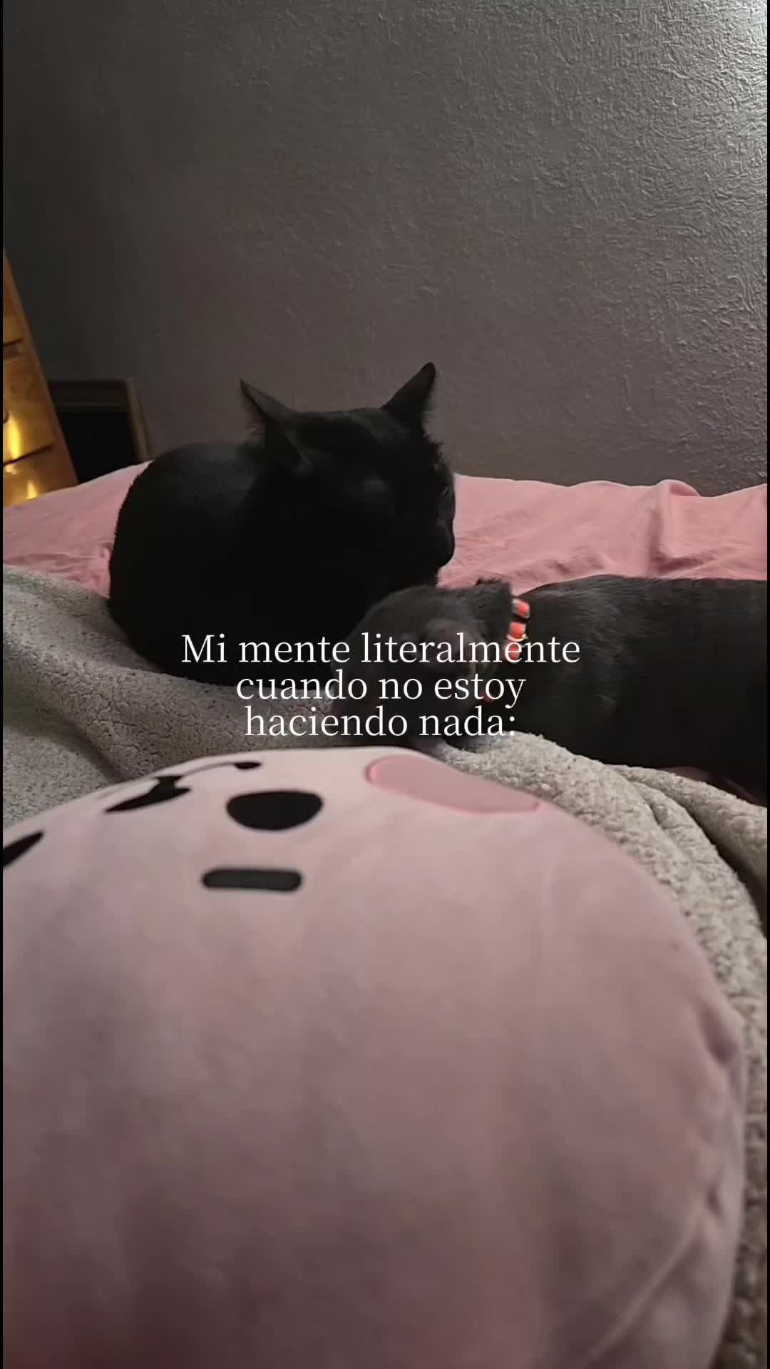 @Gaby Gonzalez