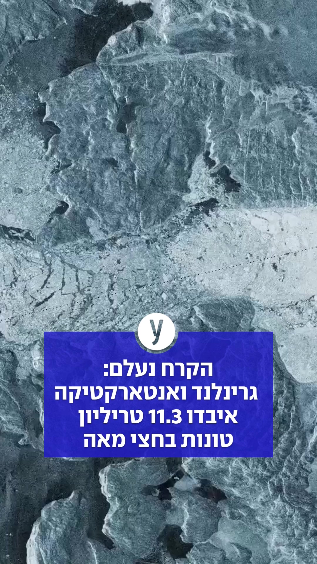 @ynet