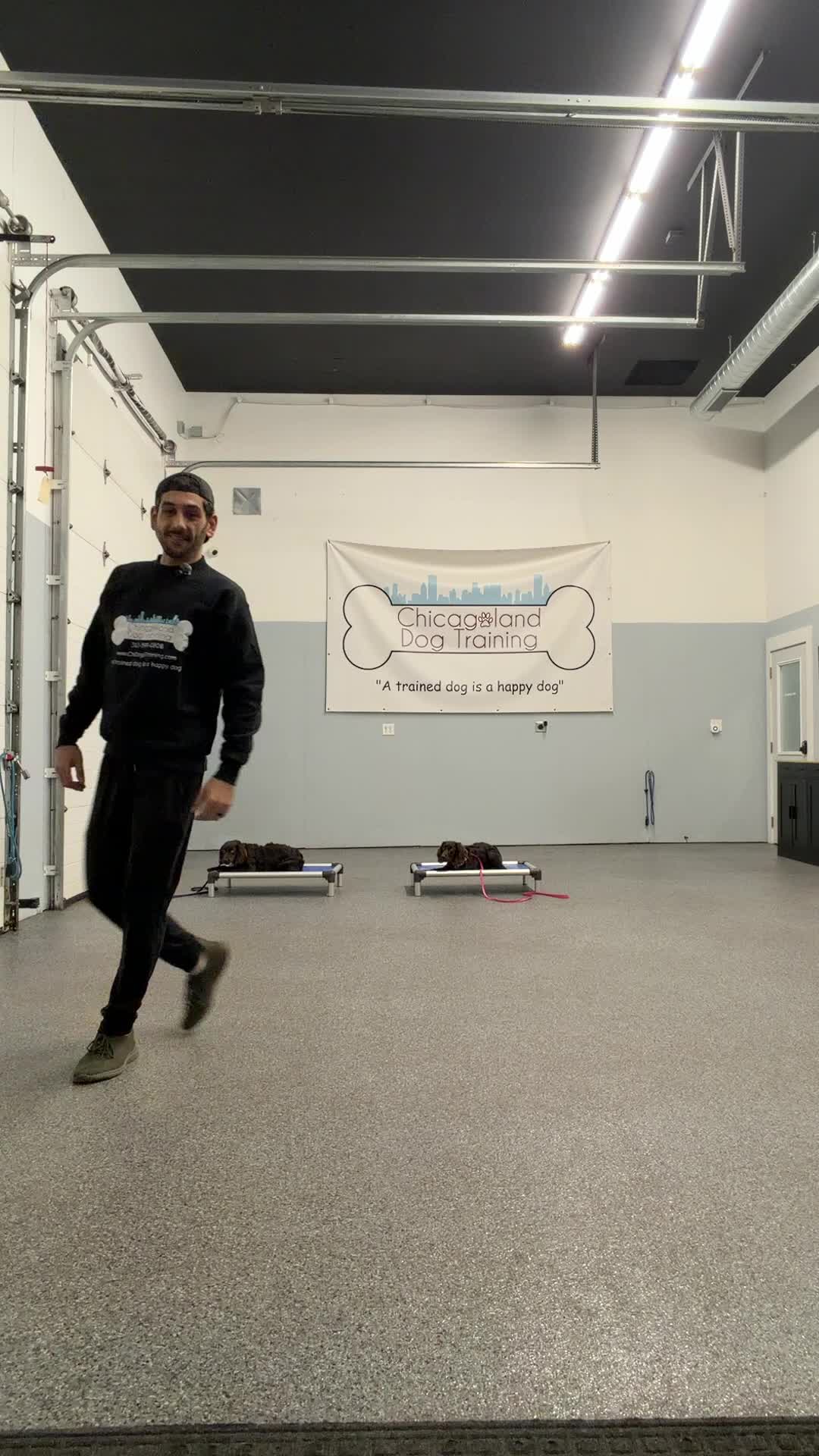 @Chicagoland Dog Training