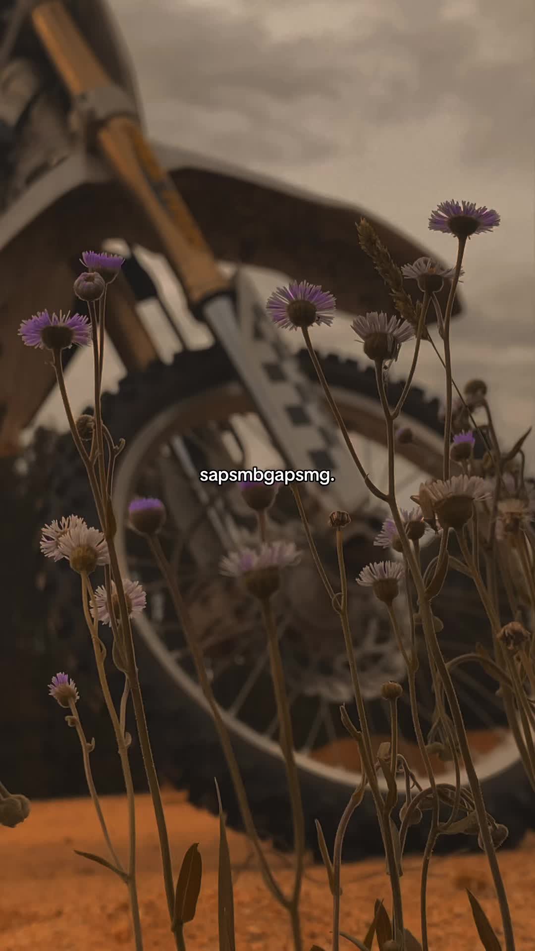 @riley 🏁