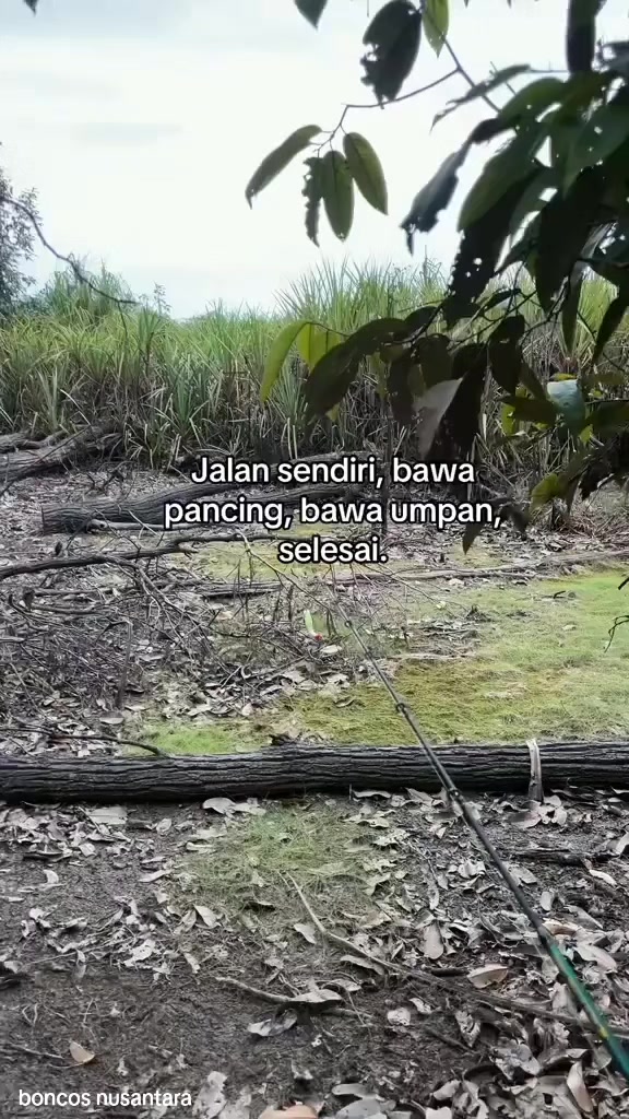 @BONCOS NUSANTARA