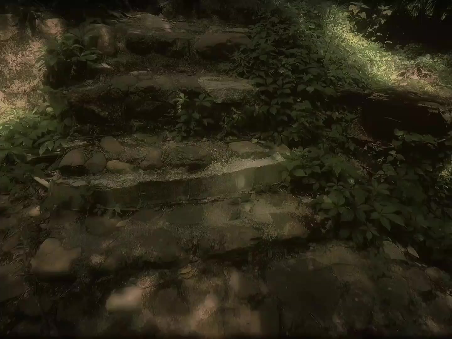 @nh.