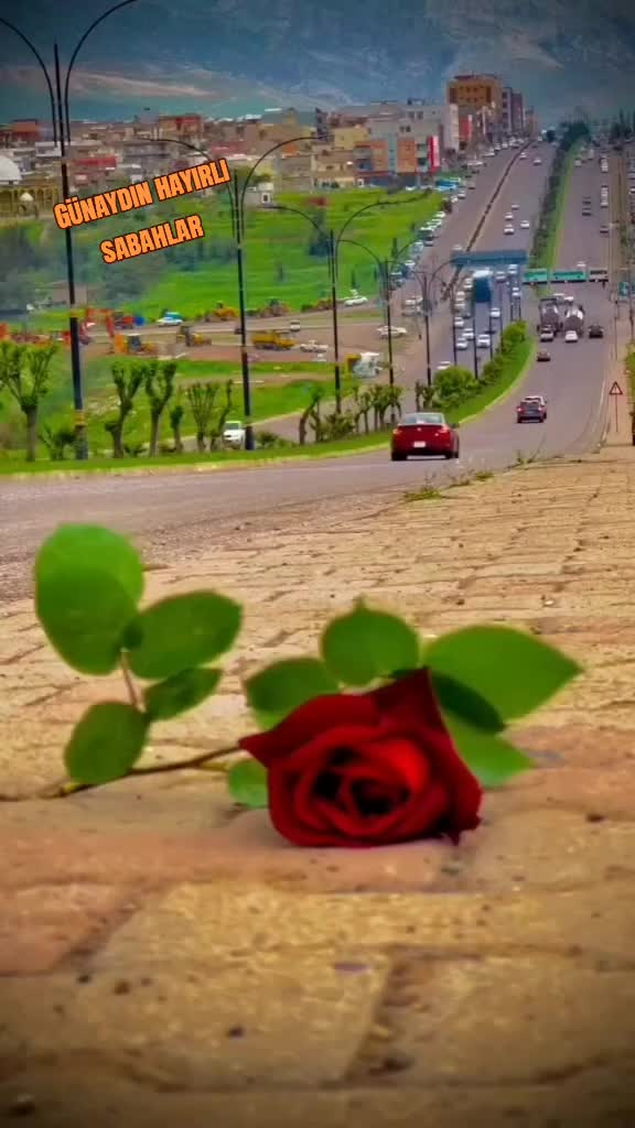 @Yozgat sürmelisi 66 /40