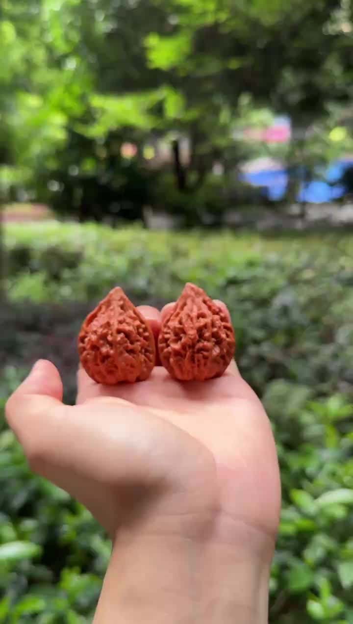 @GẤU HỒ Đ&Agrave;O