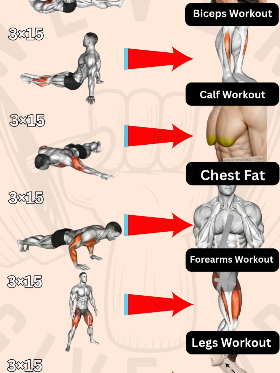 @HOMEWORKOUT