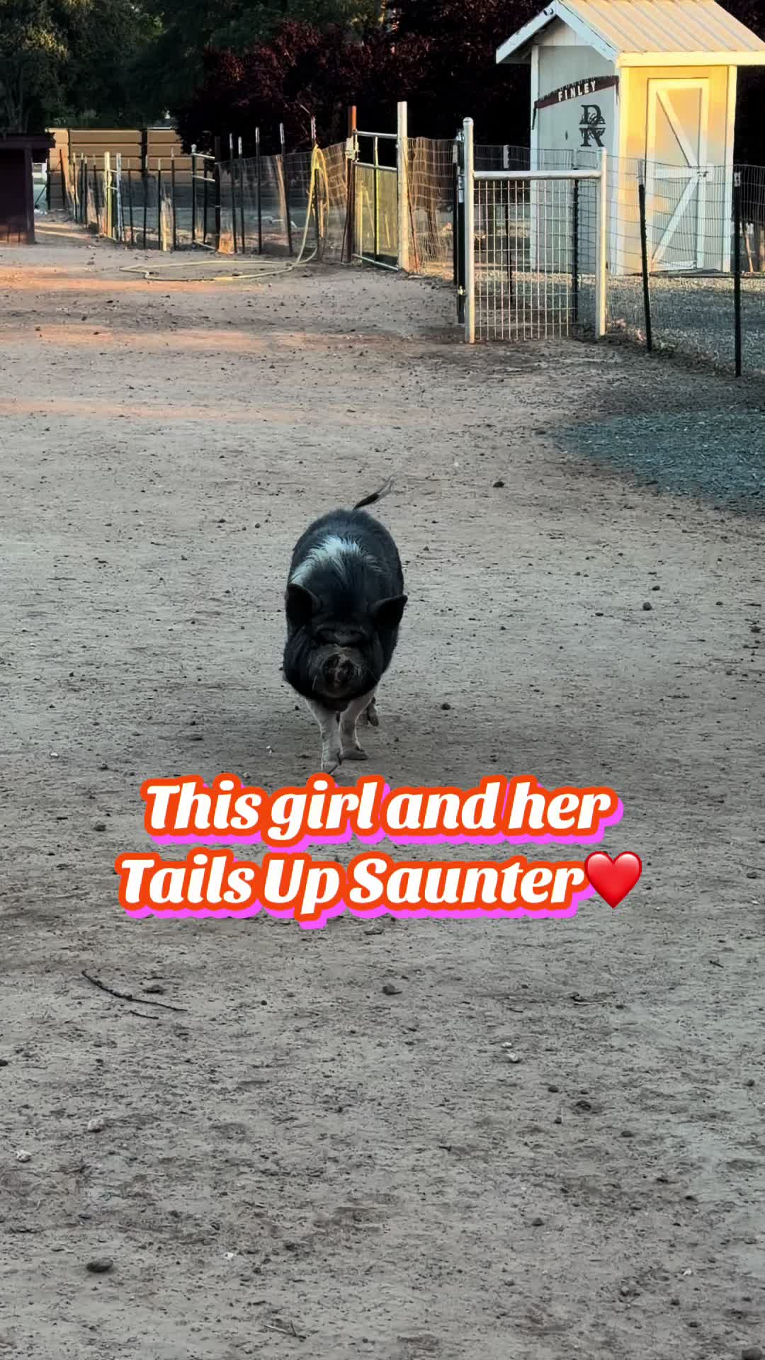 @Pig Luv Co