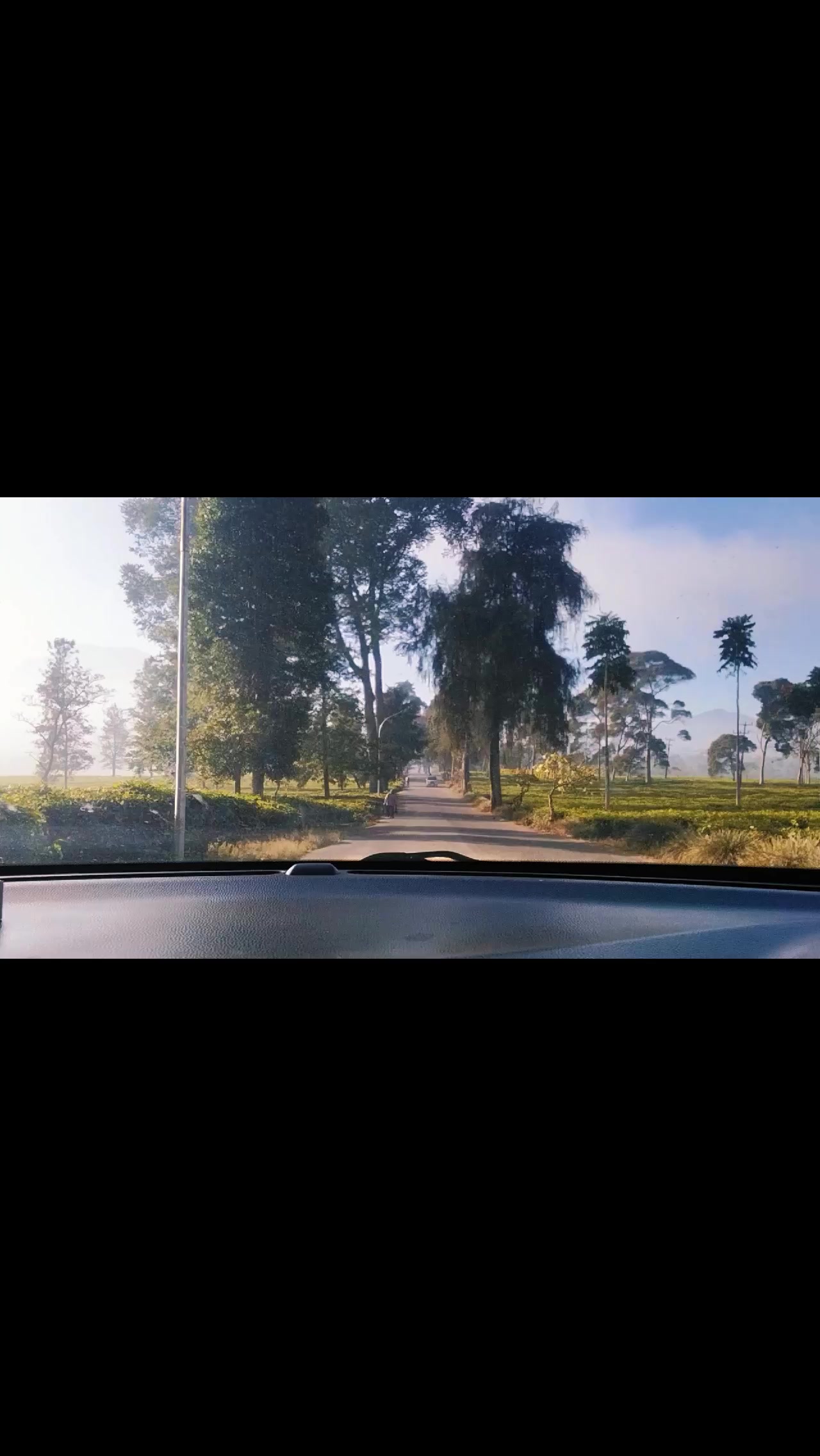 @Bungsu