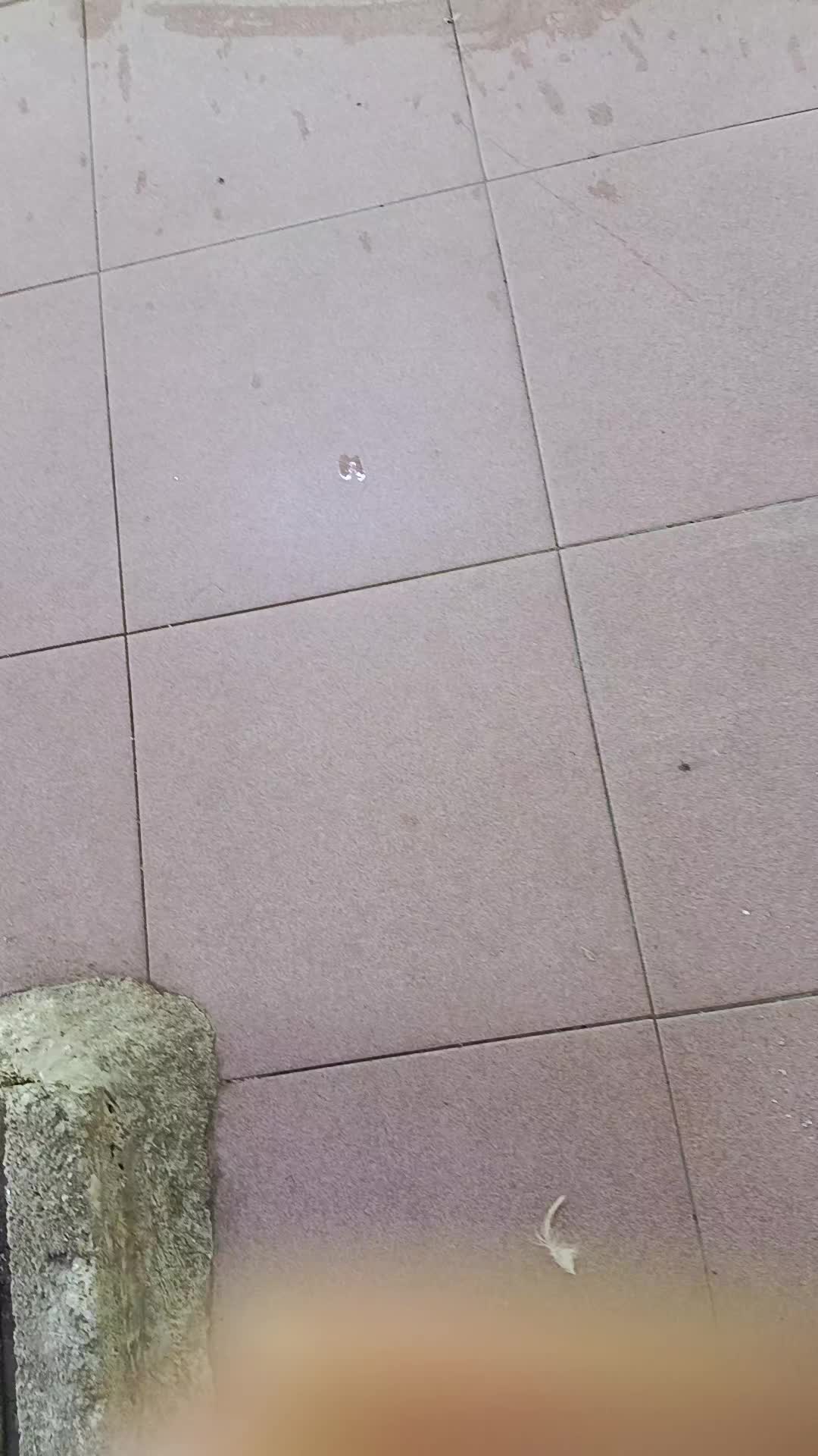 @Paktam Sidi