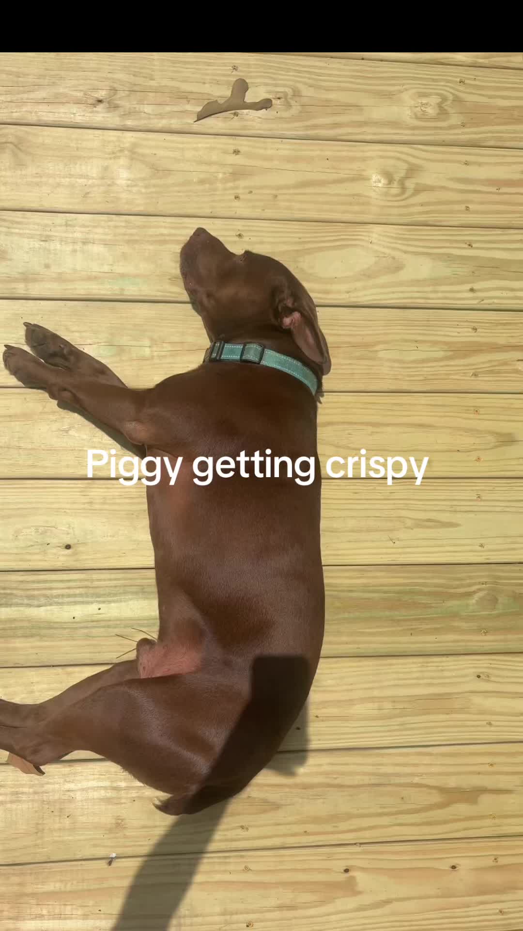 @pickle