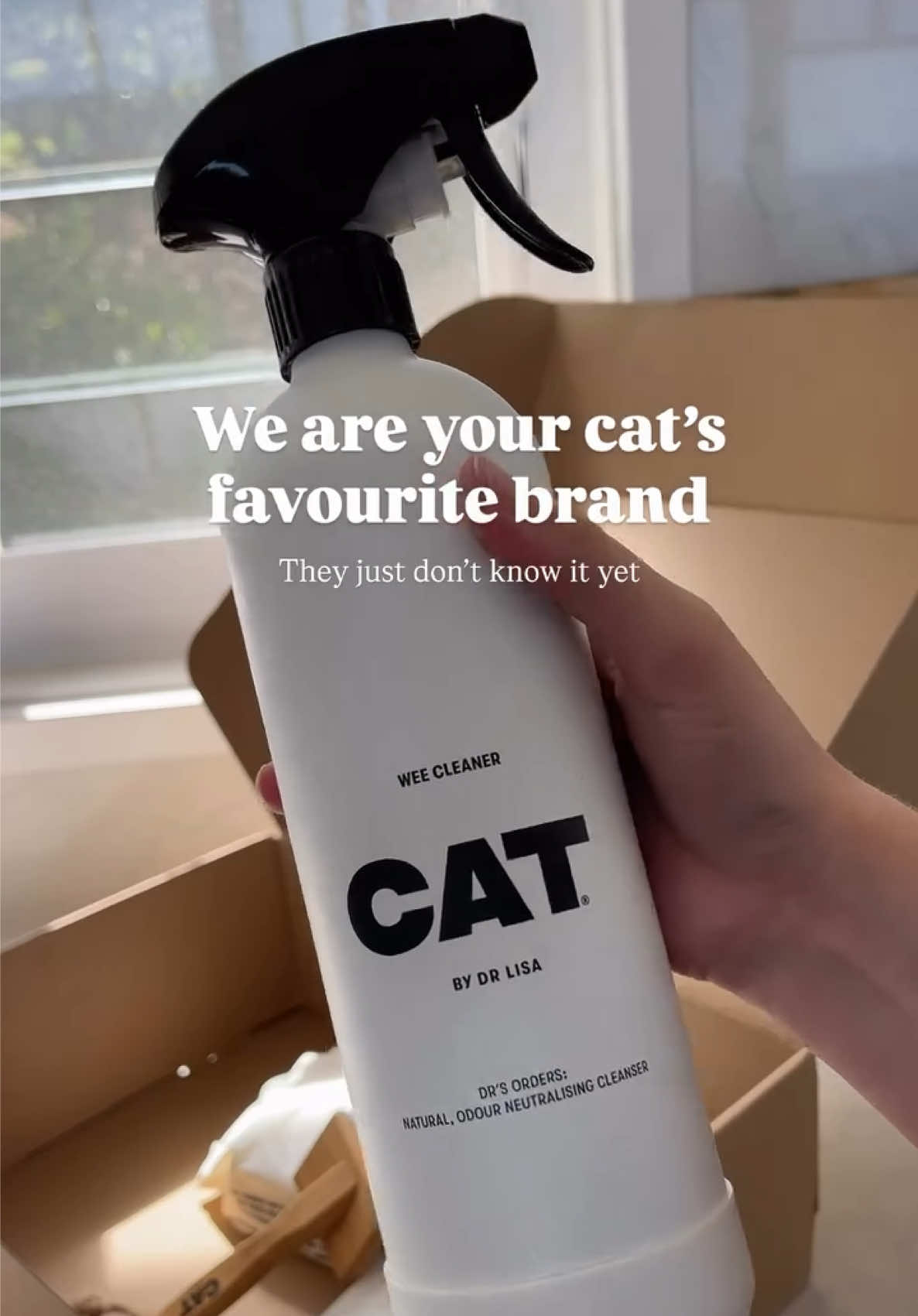 @CAT by Dr Lisa